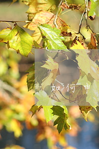 如何申請人身安全保護(hù)令？